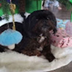 Meet your Posher, Li&lo